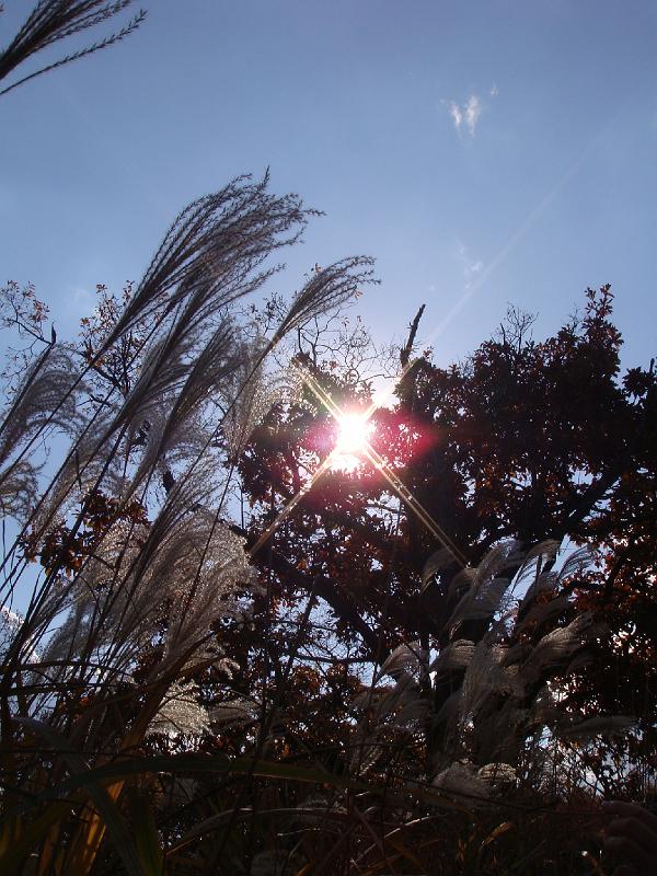 DSC02680.JPG