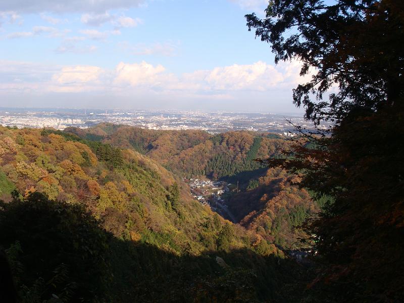 DSC02697.JPG
