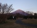 DSC07094