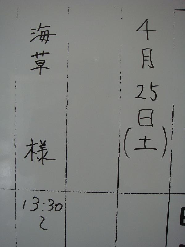 DSC03699.JPG